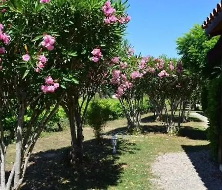 Maison Avec Terrasse Et Parking, à 350 M De La * Saint-Martin-dʼArdèche